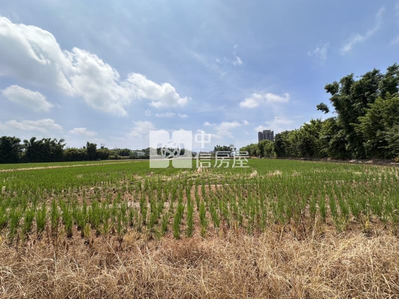 平鎮東金段農地房屋室內格局與周邊環境