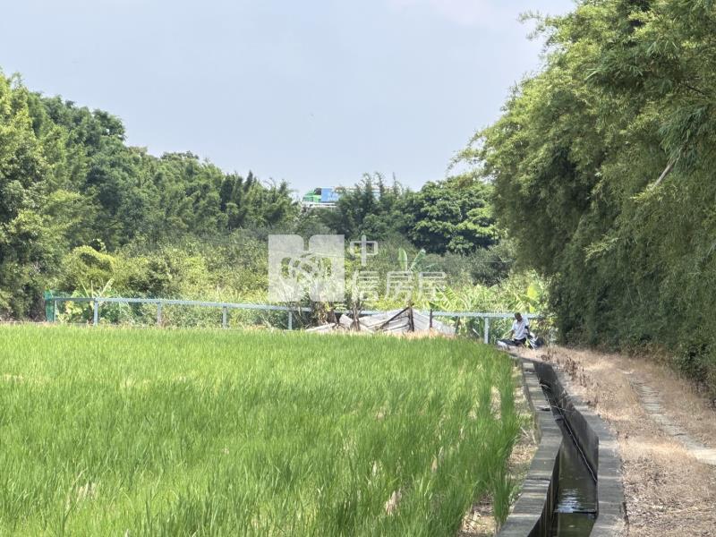 平鎮東金段農地房屋室內格局與周邊環境