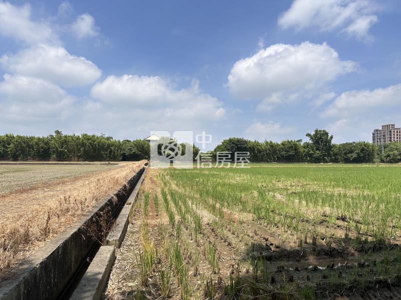 平鎮東金段農地房屋室內格局與周邊環境