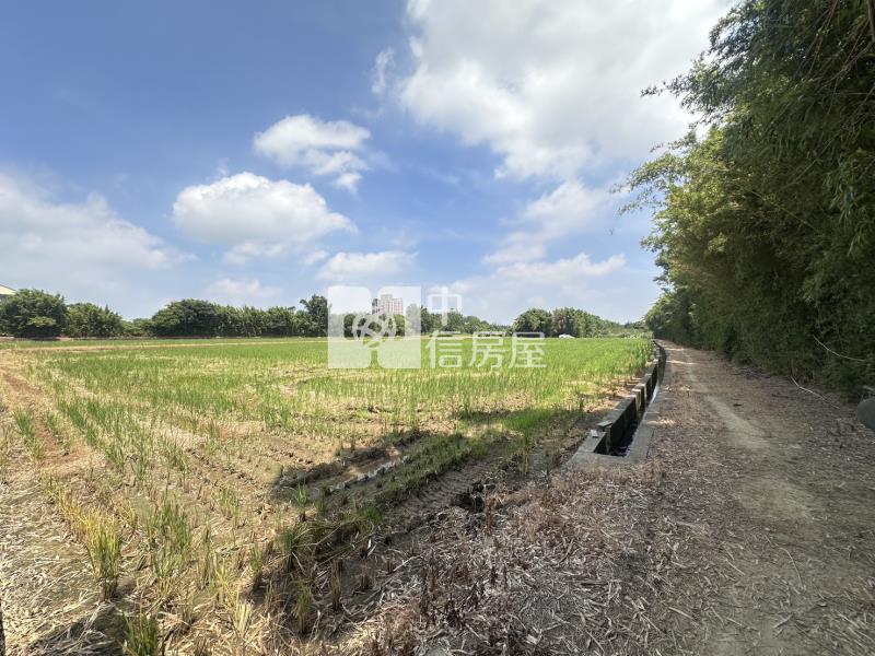 平鎮東金段農地房屋室內格局與周邊環境