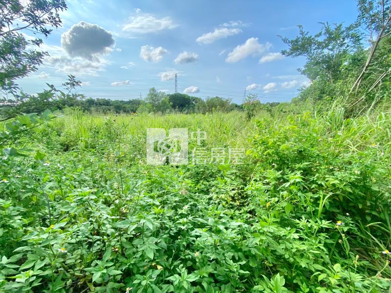 近鰲峰山運動公園都計內持分農地房屋室內格局與周邊環境