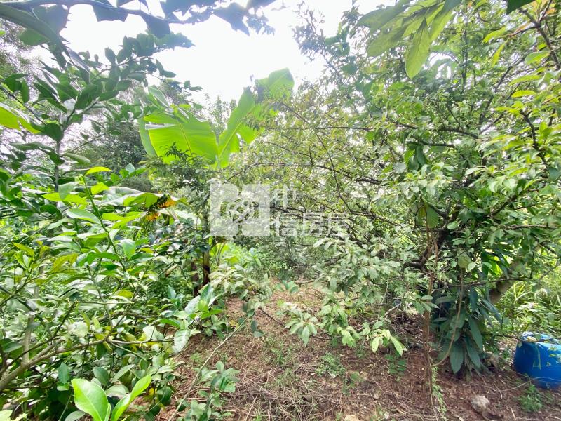 近鰲峰山運動公園都計內持分農地房屋室內格局與周邊環境