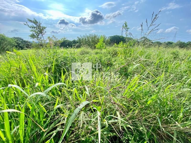 近鰲峰山運動公園都計內持分農地房屋室內格局與周邊環境