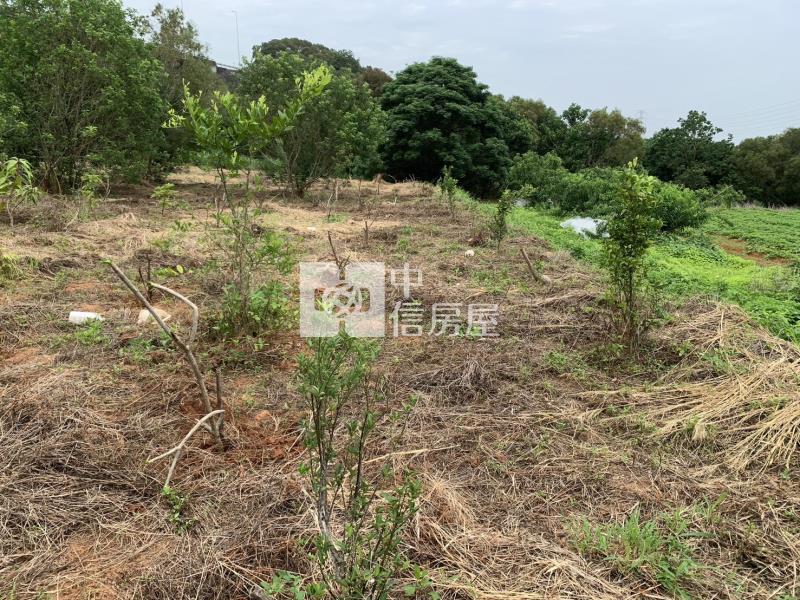 近鰲峰山運動公園都計內持分農地房屋室內格局與周邊環境