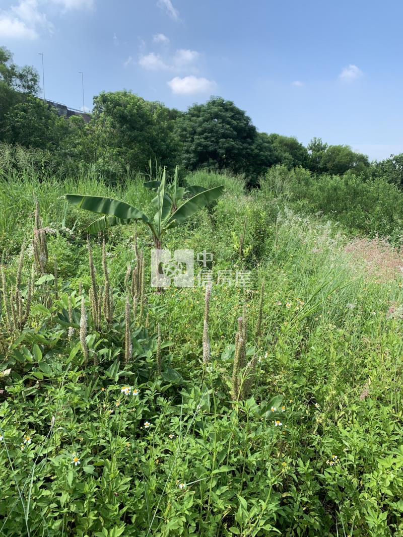近鰲峰山運動公園都計內持分農地房屋室內格局與周邊環境