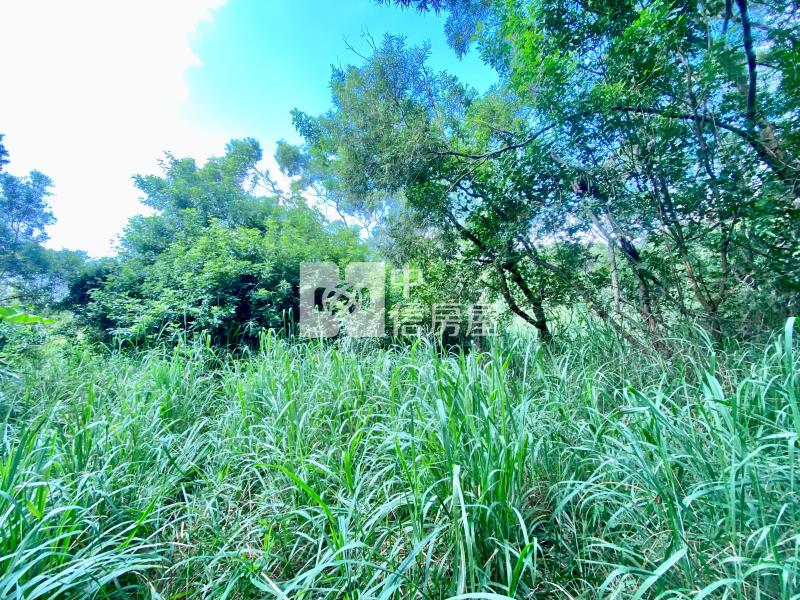 近鰲峰山運動公園都計內持分農地房屋室內格局與周邊環境