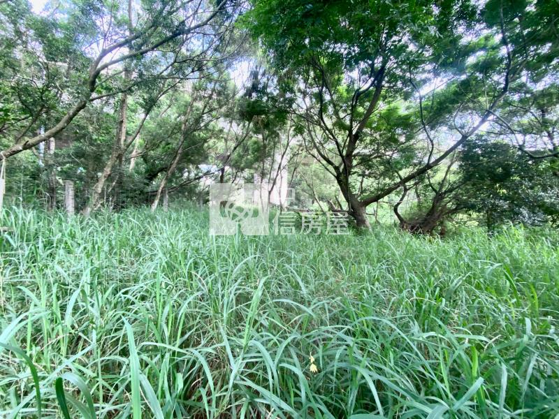 近鰲峰山運動公園都計內持分農地房屋室內格局與周邊環境