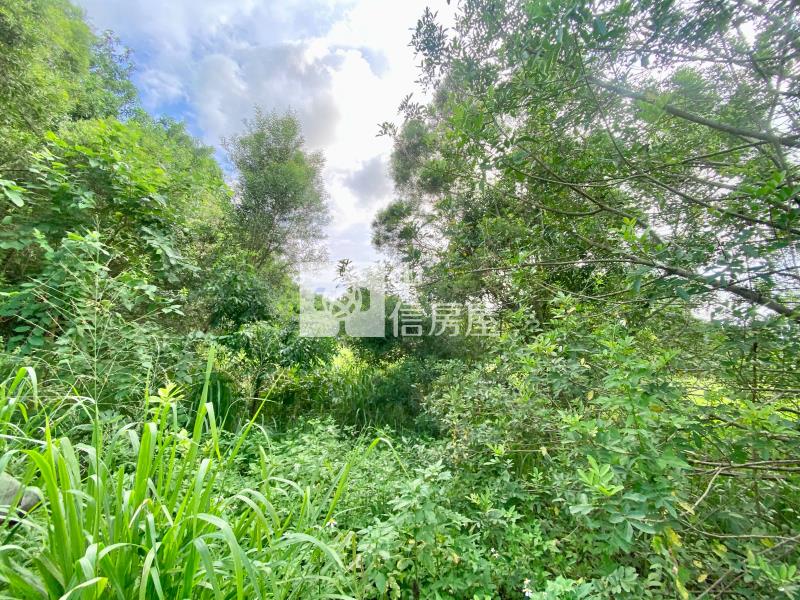 近鰲峰山運動公園都計內持分農地房屋室內格局與周邊環境
