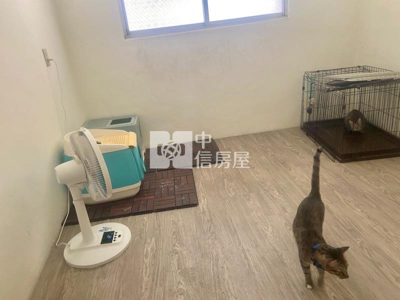 大里塗城商圈大地坪孝親透天房屋室內格局與周邊環境