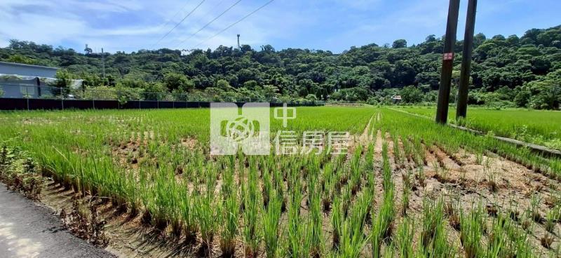 大溪內柵風景區農地房屋室內格局與周邊環境