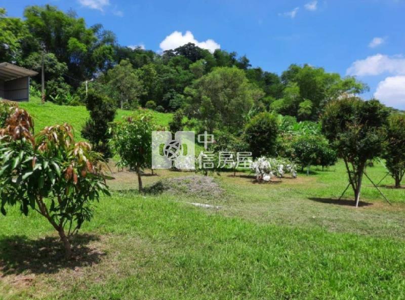 南投中寮農地房屋室內格局與周邊環境