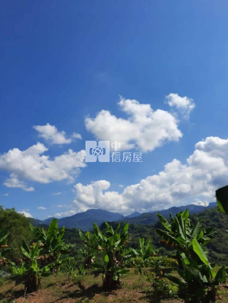 南投中寮農地房屋室內格局與周邊環境