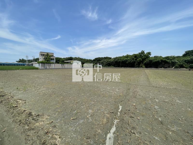 彰化縣芳苑鄉農地房屋室內格局與周邊環境