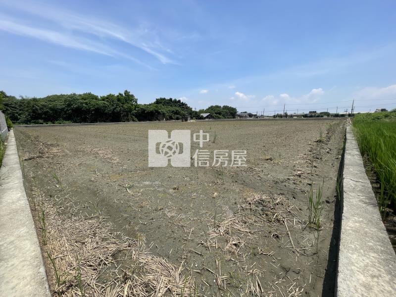 彰化縣芳苑鄉農地房屋室內格局與周邊環境