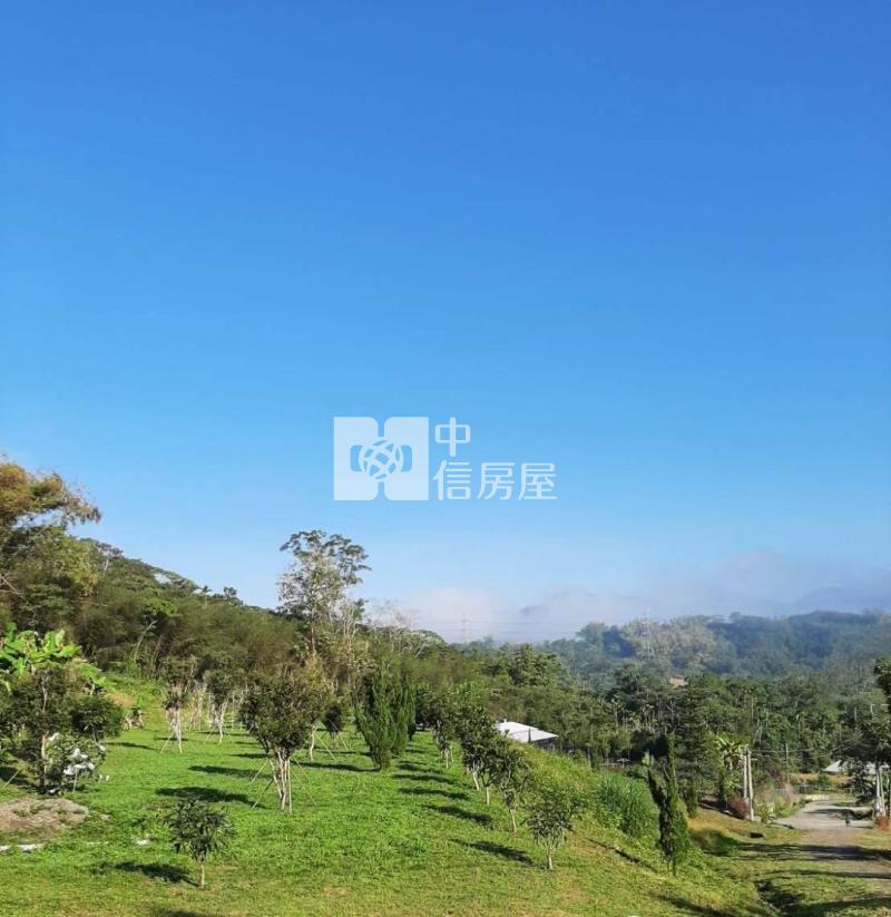 南投中寮農地-2房屋室內格局與周邊環境