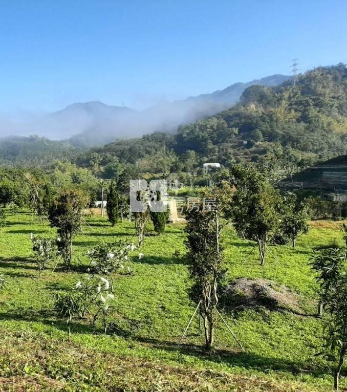 南投中寮農地-2房屋室內格局與周邊環境