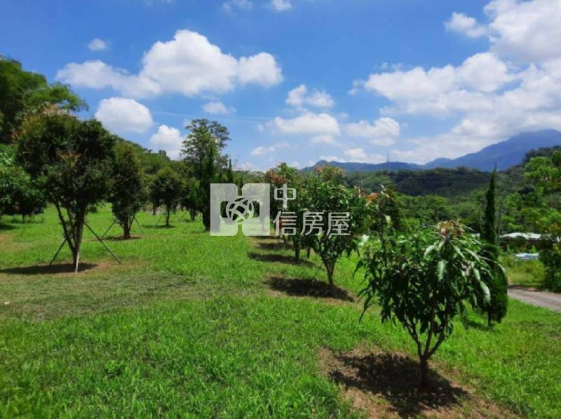 南投中寮農地-3房屋室內格局與周邊環境