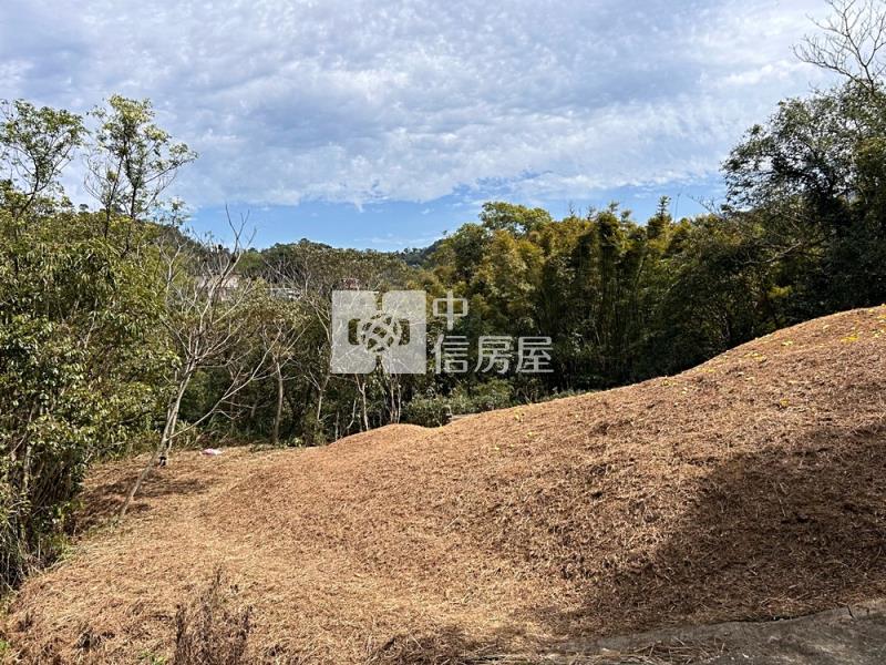大溪超值丙建房屋室內格局與周邊環境