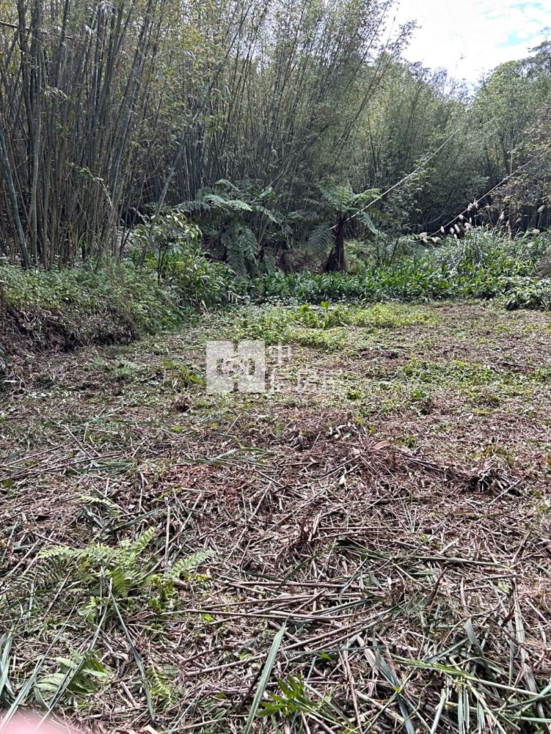 大溪超值丙建房屋室內格局與周邊環境