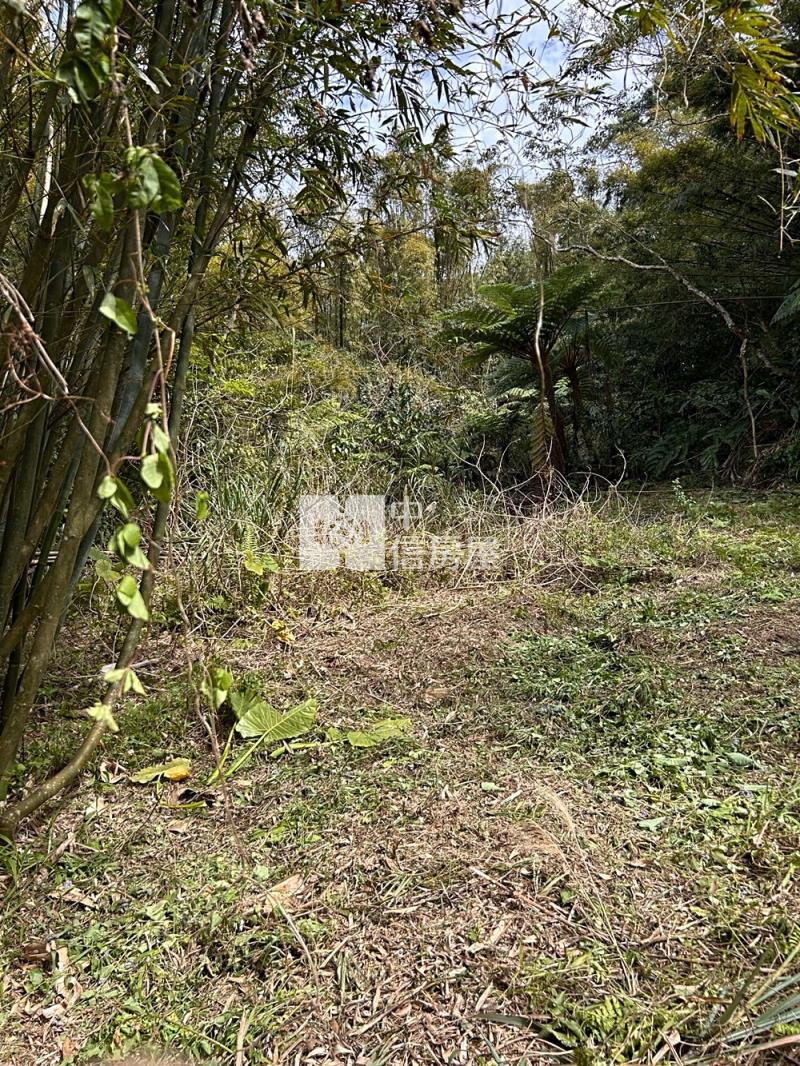 大溪超值丙建房屋室內格局與周邊環境