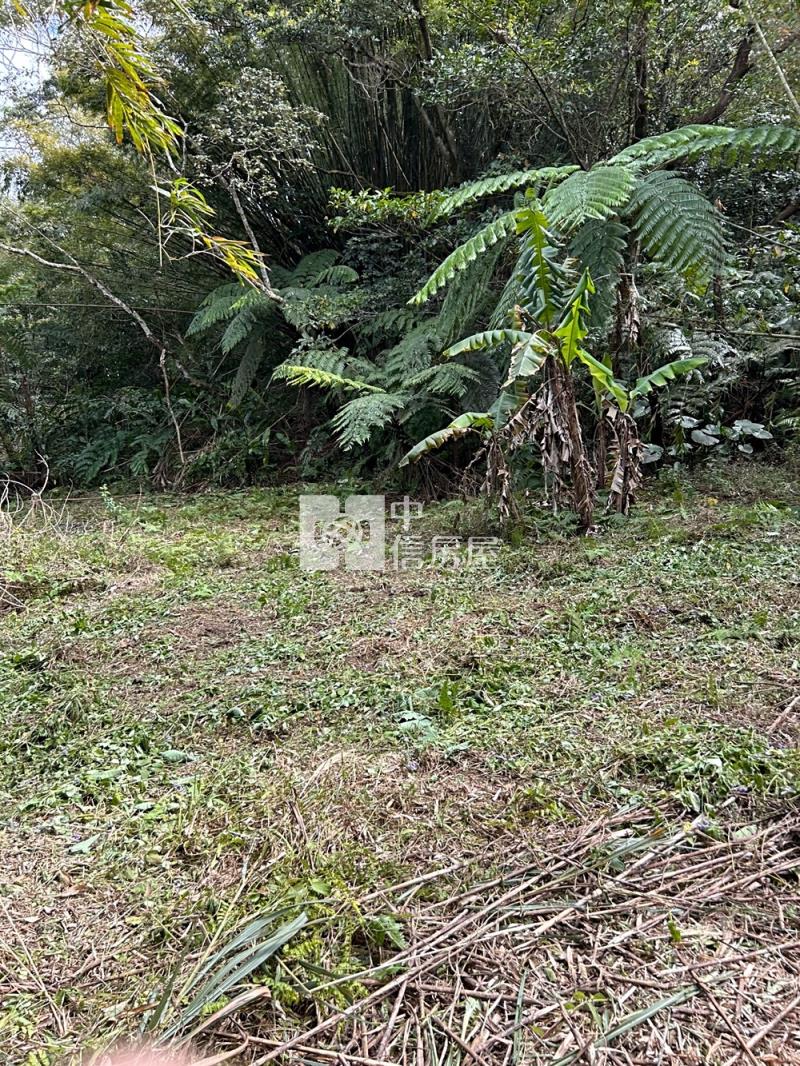 大溪超值丙建房屋室內格局與周邊環境