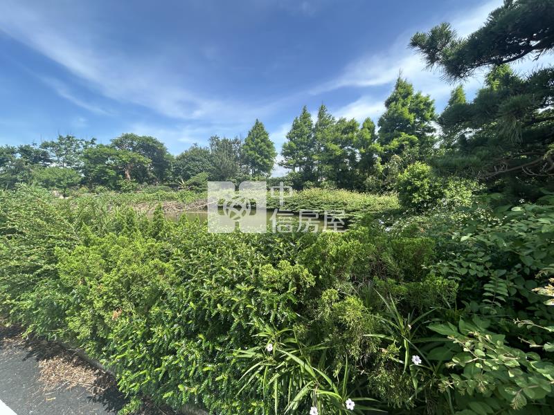 新屋農加建買地送屋房屋室內格局與周邊環境