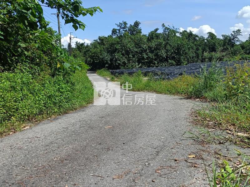 古坑東和美農地房屋室內格局與周邊環境