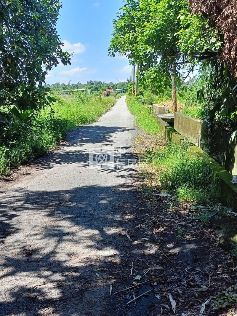 古坑東和美農地房屋室內格局與周邊環境