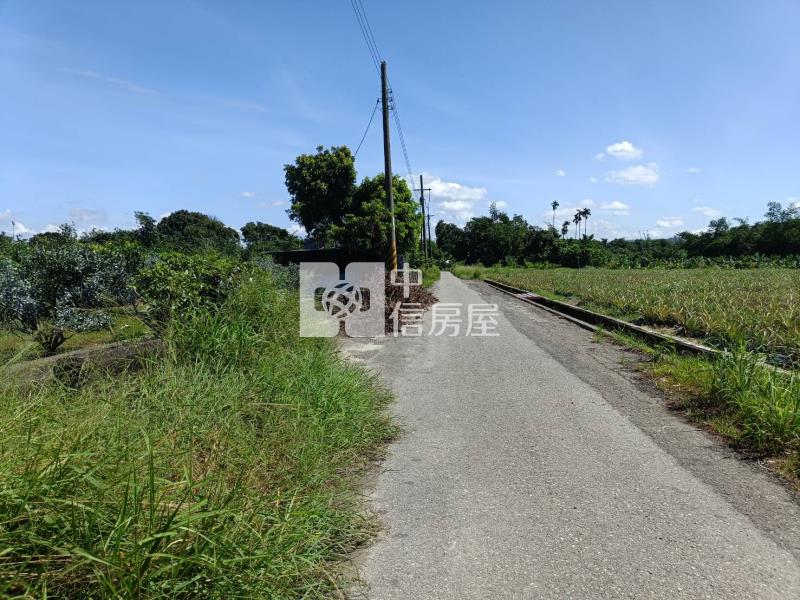 古坑東和美農地房屋室內格局與周邊環境