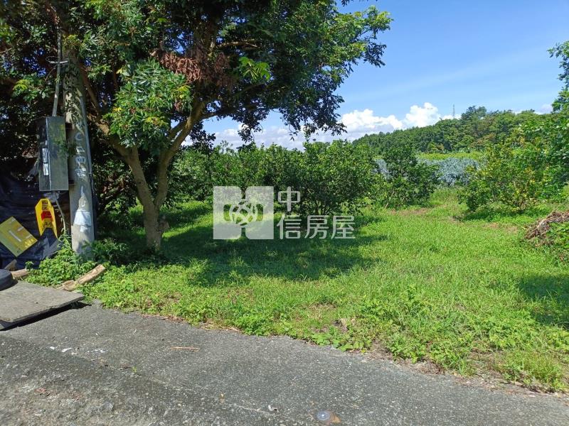 古坑東和美農地房屋室內格局與周邊環境