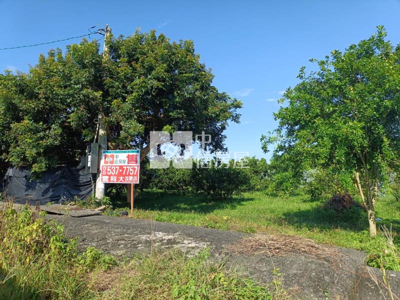 古坑東和美農地房屋室內格局與周邊環境