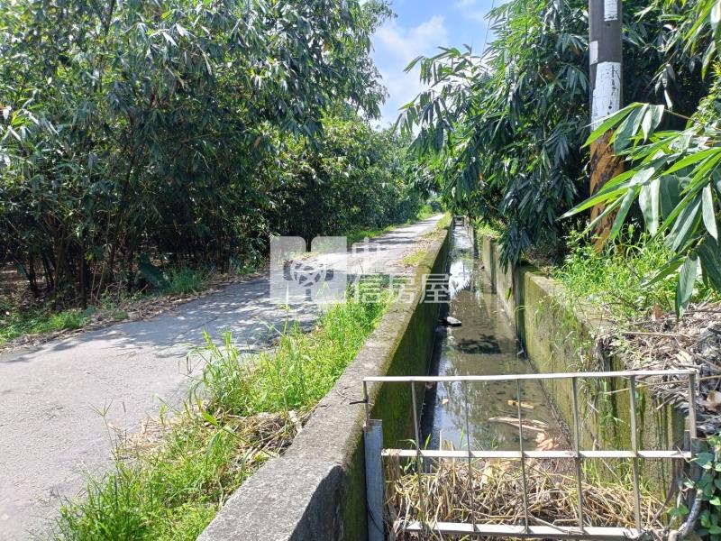 古坑東和美農地房屋室內格局與周邊環境