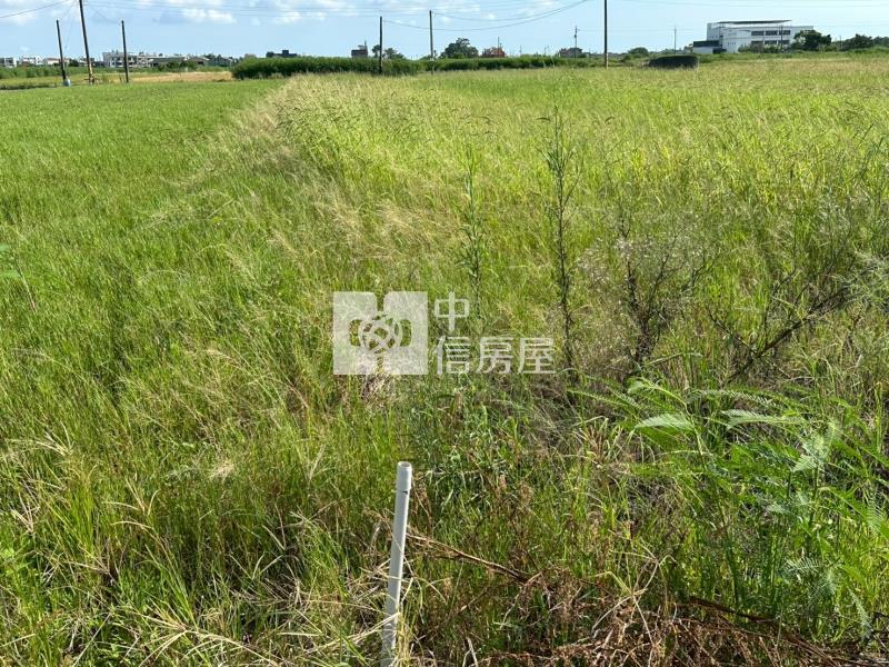 八分段前後有路方正美農地房屋室內格局與周邊環境