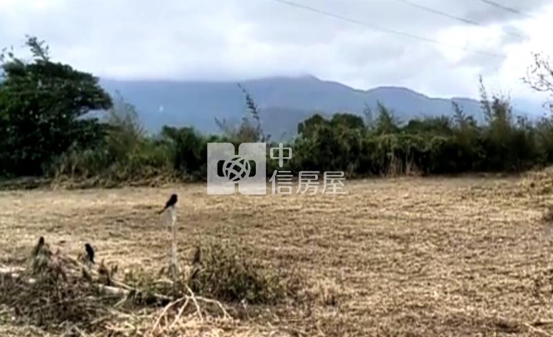 富里近台9線美農地房屋室內格局與周邊環境