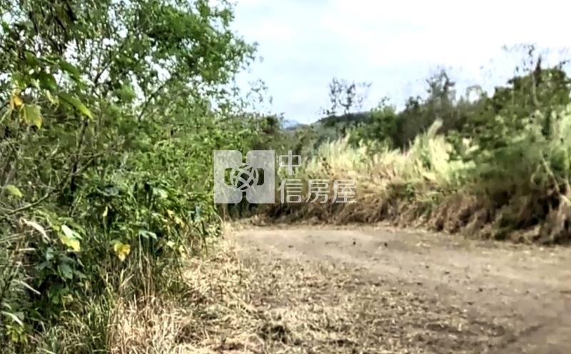 富里近台9線美農地房屋室內格局與周邊環境