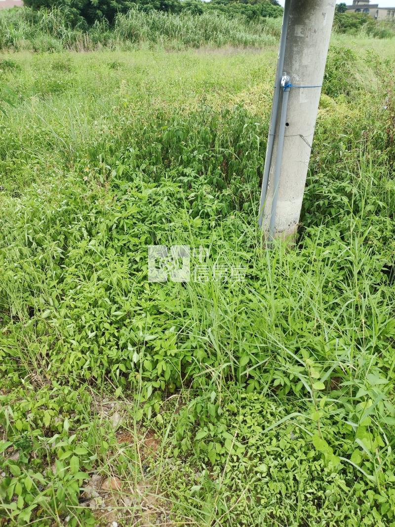 新屋石牌嶺臨路一般農附水電房屋室內格局與周邊環境