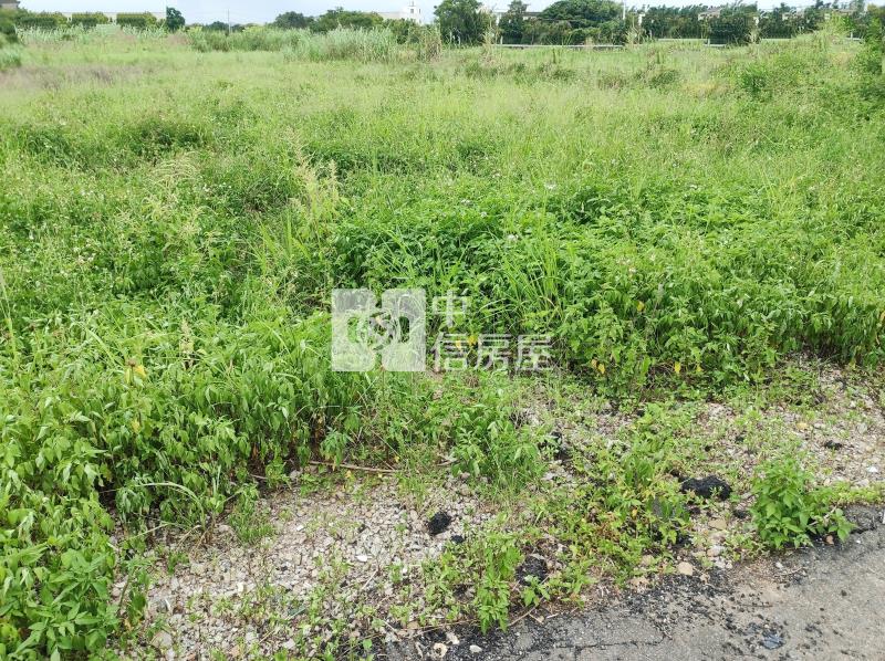 新屋石牌嶺臨路一般農附水電房屋室內格局與周邊環境