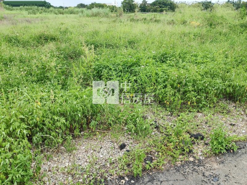 新屋石牌嶺臨路一般農附水電房屋室內格局與周邊環境