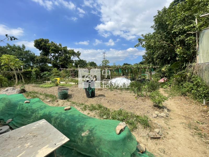 【新世紀】龍潭正福龍路都內農+一般農房屋室內格局與周邊環境