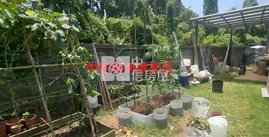 觀音大地坪花園別墅房屋室內格局與周邊環境