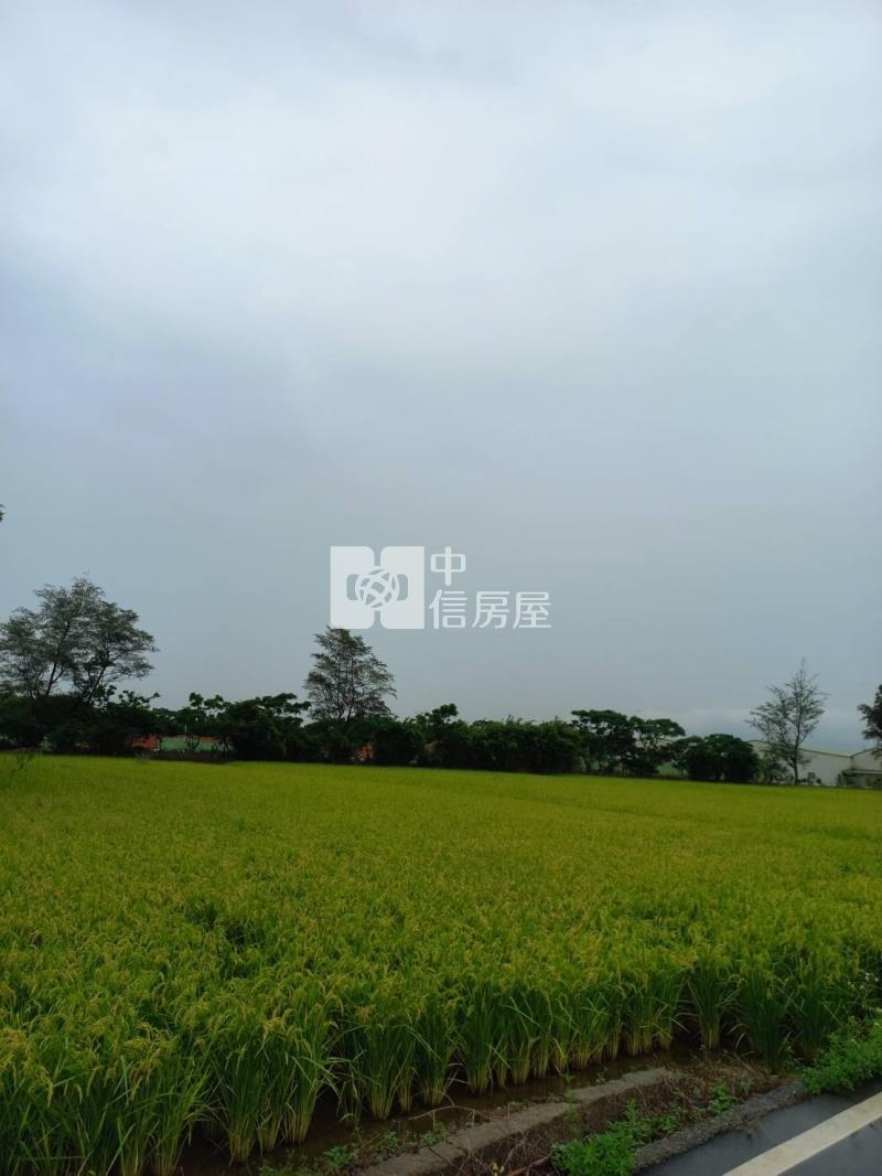 觀音育仁段773農地房屋室內格局與周邊環境