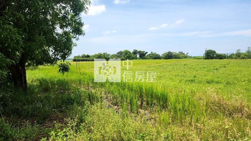 高鐵平易近人三分農地房屋室內格局與周邊環境