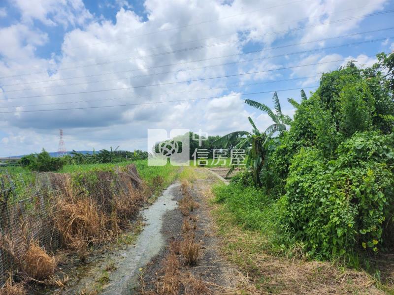 高鐵平易近人三分農地房屋室內格局與周邊環境