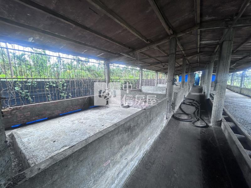 內埔合法豬舍房屋室內格局與周邊環境