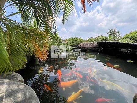 高雄農舍 我種花你養魚的美濃夢-合法農舍房屋室內格局與周邊環境