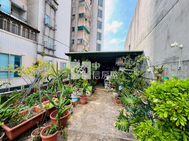 近A21中豐路稀有金透店房屋室內格局與周邊環境