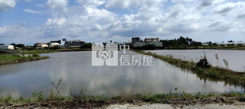 新市潭頂近社區6米路有電5分優美農地房屋室內格局與周邊環境
