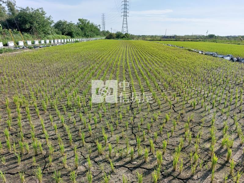 柳營近乳牛的家雙面路農地房屋室內格局與周邊環境