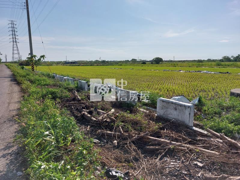 柳營近乳牛的家雙面路農地房屋室內格局與周邊環境