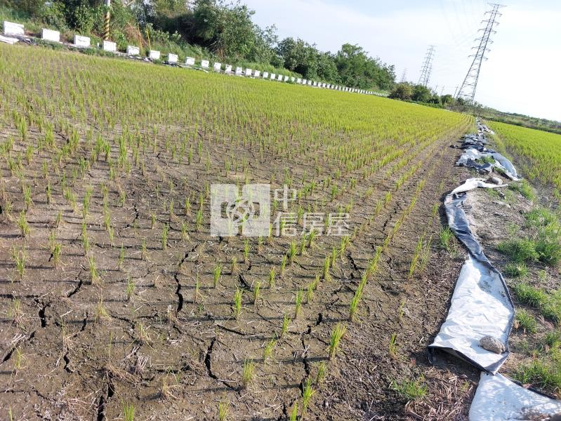 柳營近乳牛的家雙面路農地房屋室內格局與周邊環境